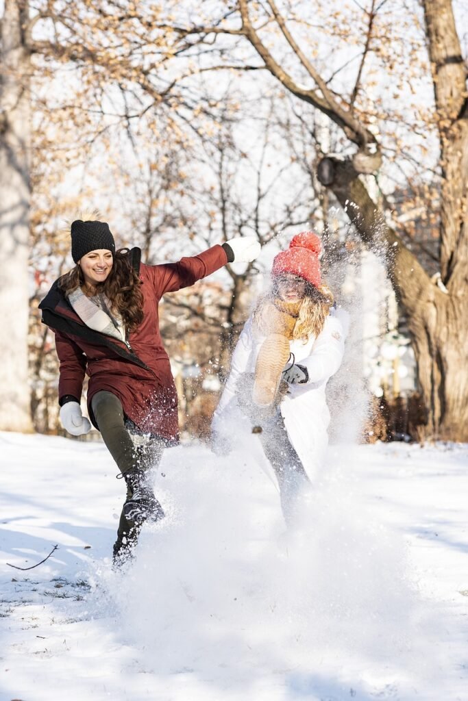 women, snow, friends-4707539.jpg